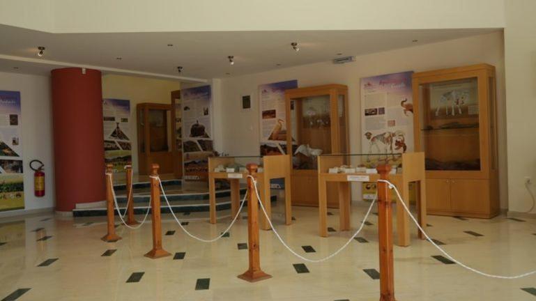 Tania Village Zakros Maisonette Zewnętrze zdjęcie
